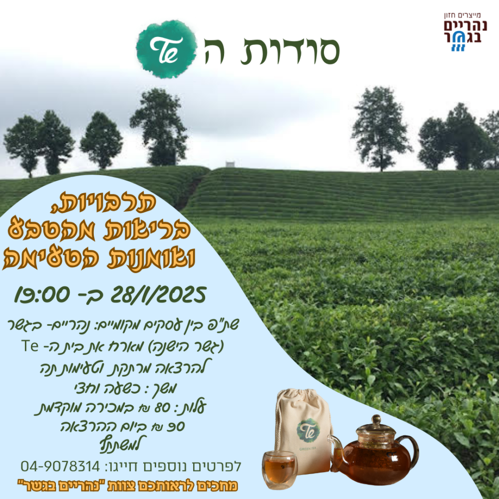 סודות התה